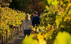 Discovery Parks - Clare